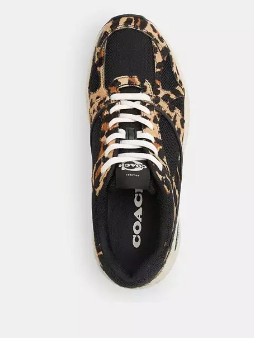 Coach Sneakers - Picture 9 of 11